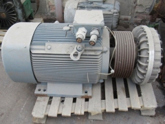 K75-01